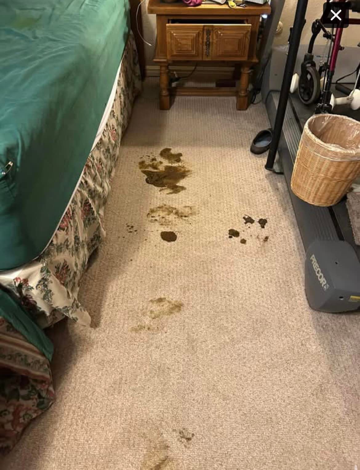 Carpet before professional cleaning