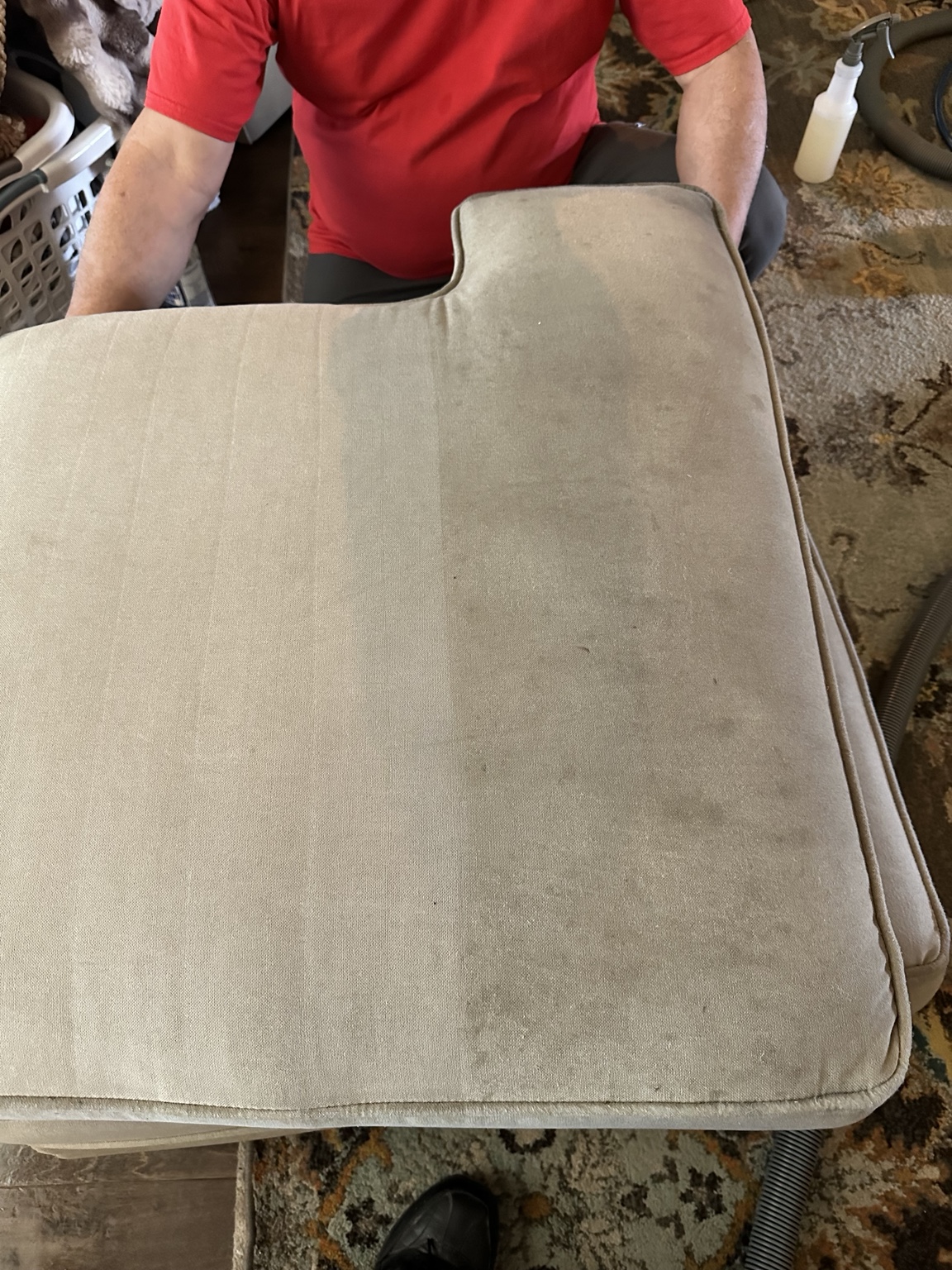 Upholstered cushion receiving professional cleaning